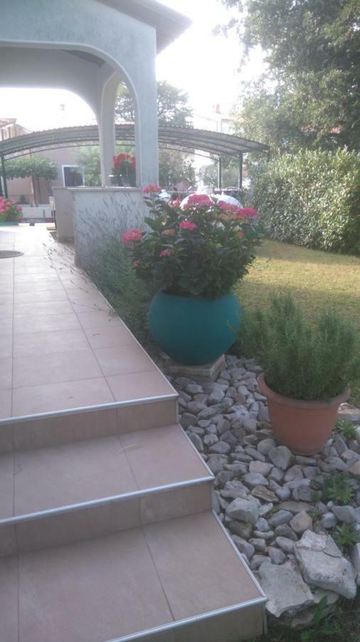 Apartmani Bauk بوريتش المظهر الخارجي الصورة