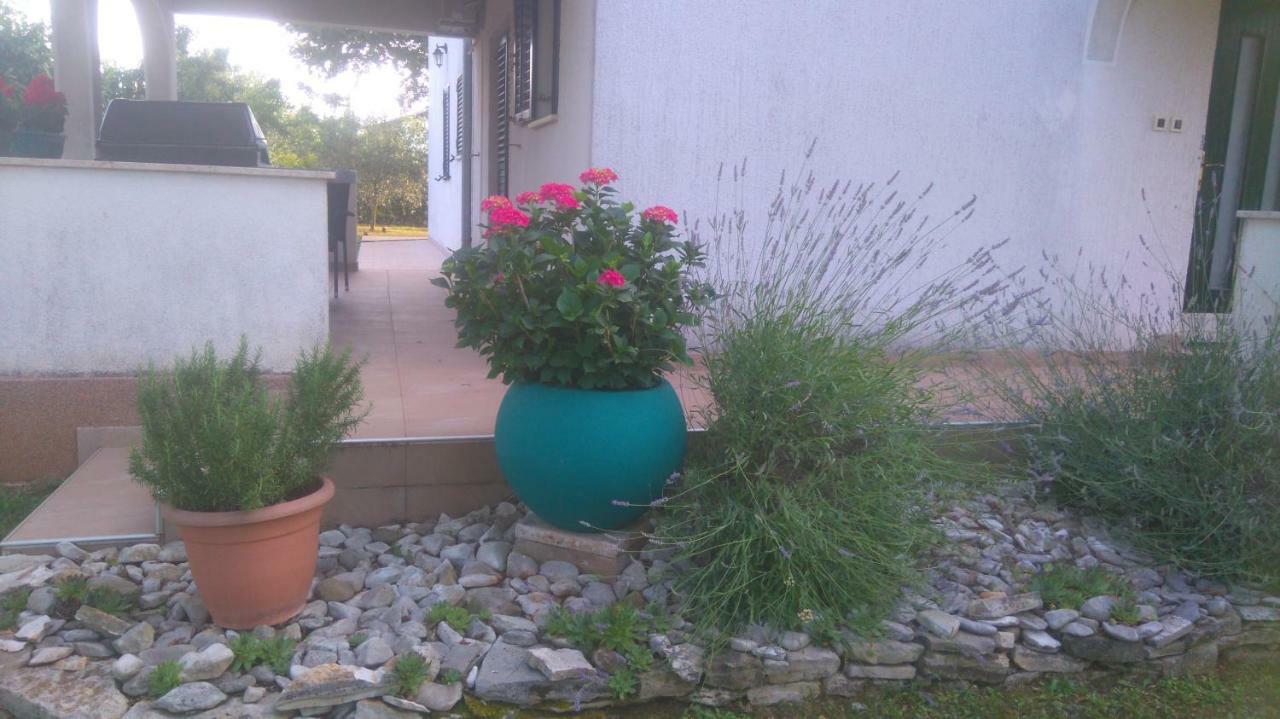 Apartmani Bauk بوريتش المظهر الخارجي الصورة