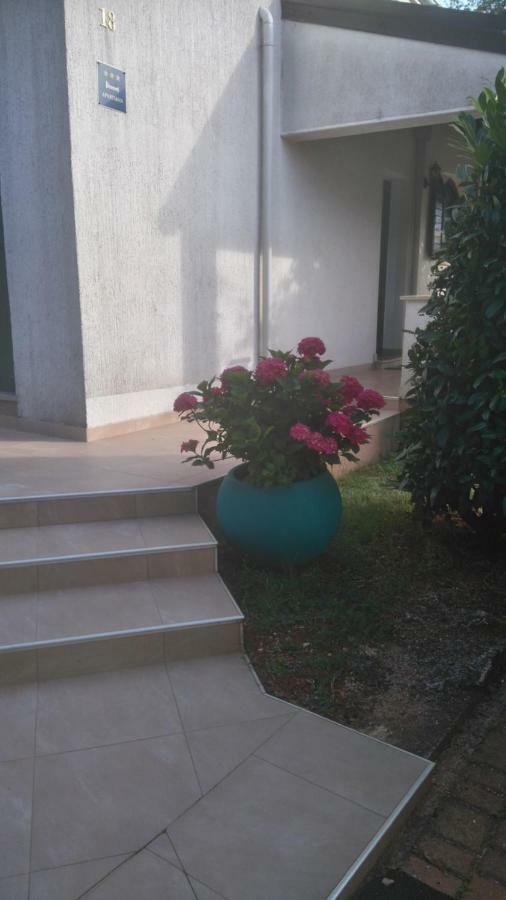 Apartmani Bauk بوريتش المظهر الخارجي الصورة